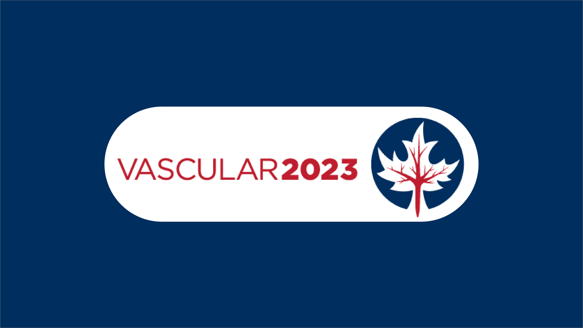 Vascular 2023