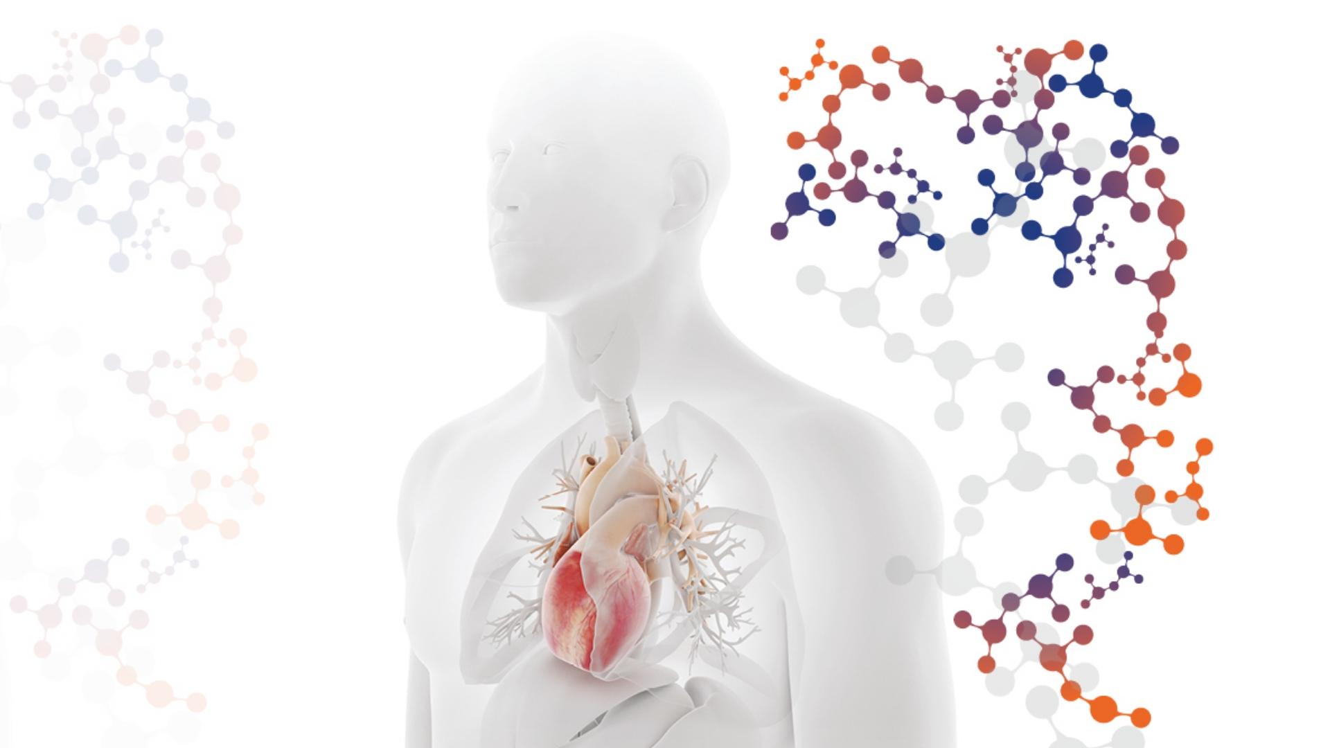 Frontiers in CardioVascular Biomedicine 2024