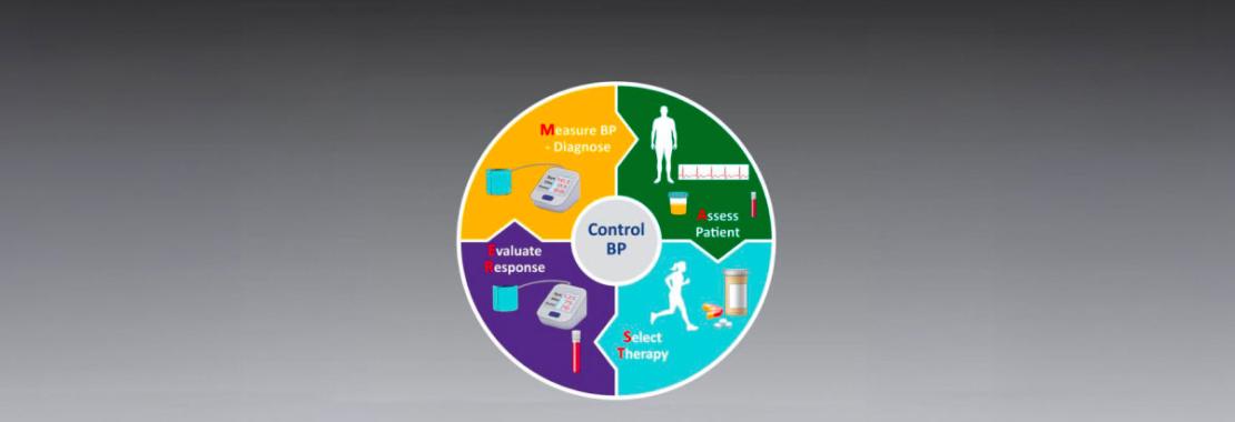 ESH MASTERplan for hypertension management: the essentials